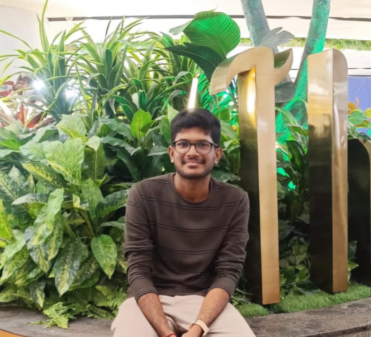 Shree Narayanan M